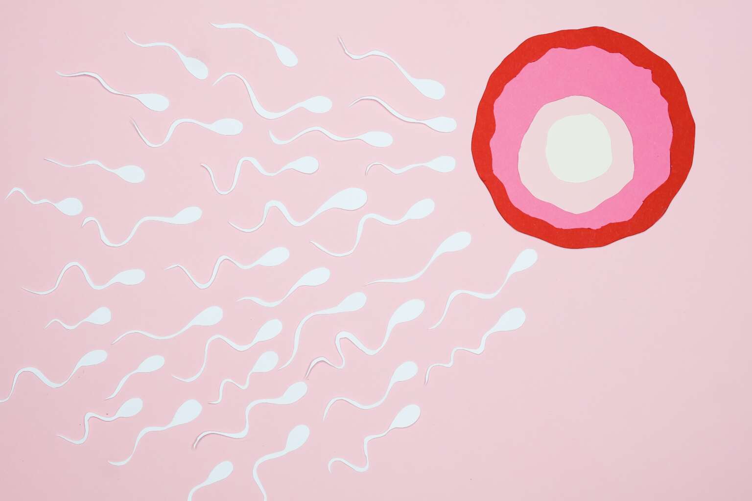 manlig fertilitet