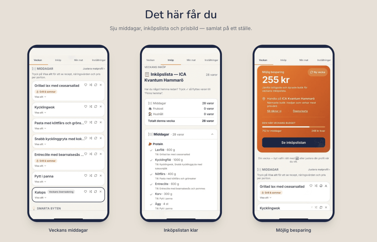 ”Vad ska vi äta ikväll?” – Så slipper du vardagens största energitjuv (och sparar tusenlappar)